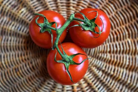 4 Benefits Of Tomatoes The Guardian Nigeria News Nigeria And World