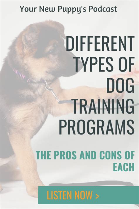 Ynp 045 Pros And Cons Of Different Dog Training Programs Dog
