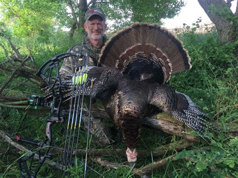 Top 10 Wild Turkey Hunting States Grand View Outdoors