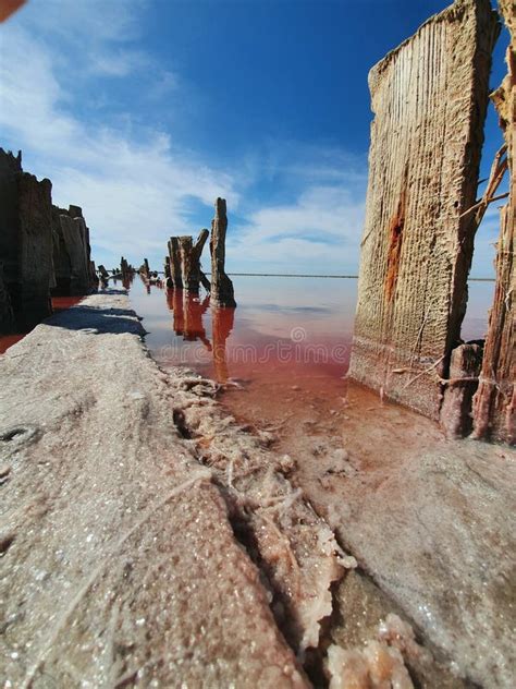 Pink Lake In The Kherson Region Stock Image Image Of Wadi Wall