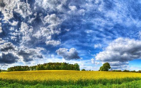 Nature Landscape Hdr Field Trees Clouds Wallpapers Hd