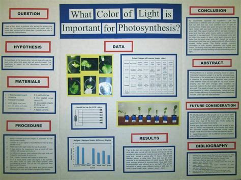 Science Fair Project Board Examples And How To Design Edrawmax