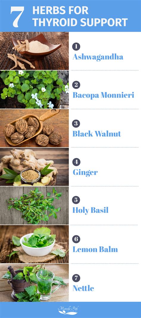 Herbs For Thyroid Support Marcelle Pick OB GYN NP