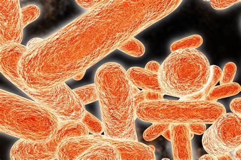 Doch wie schaffen es antibiotisch wirkende substanzen, krankmachende bakterielle erreger unschädlich zu machen? 17 Top Pictures Wann Wirken Antibiotika - Antibiotika ...