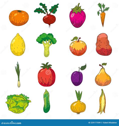 Conjunto De Ilustraciones De Frutas Y Hortalizas Dibujo A Mano Doodles