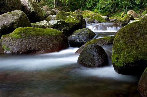 2560x1080px Free Download Hd Wallpaper Rocks With Moss And River