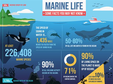 Marine Life Facts National Geographic 10 Fascinating About Ocean