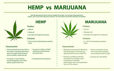 the history of hemp a timeline of hemp in the united states