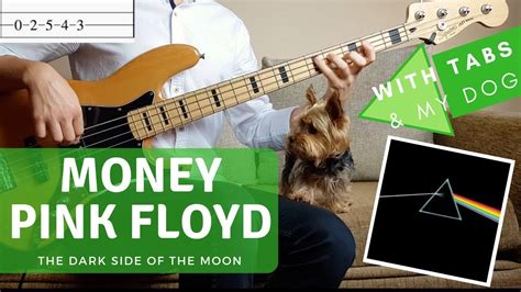 36,021 views, added to favorites 185 times. MONEY - Pink Floyd | BASS COVER WITH TABS & MY DOGGIE 🐶 | - YouTube