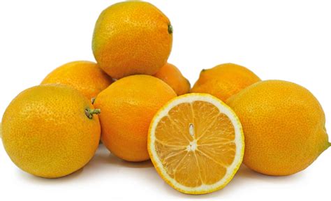 Lemon Oranges Information And Facts