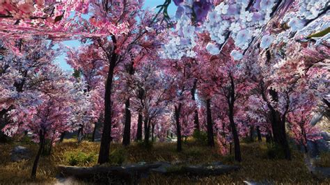 Real cherry blossom sakura trees モデルテクスチャ Skyrim Special Edition