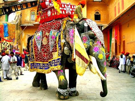 Rajasthan, Elephant Safari, Elephant Safari in Rajasthan