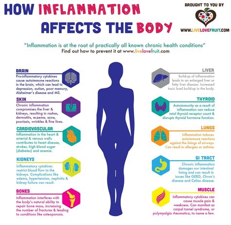 Learn How Inflammation Affects The Body And How To Get Rid Of It