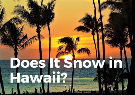 Does It Snow In Hawaii You Will Be Surprised Travelperi