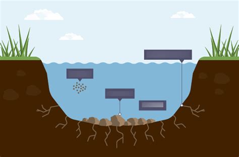 River Processes Erosion Diagram Quizlet