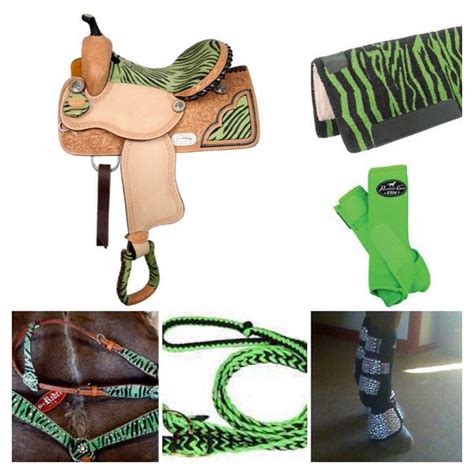 This Is My Dream Barrel Racing Tack For My Blaze My Green Theme Dude
