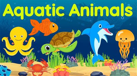 Top 10 Smallest Aquatic Animals Clipart