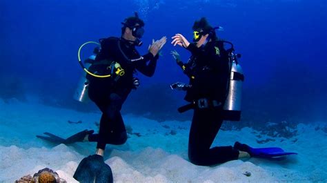 Scuba, snorkelling and dive instructors. DreamDiveJob.Com | Divemaster Job