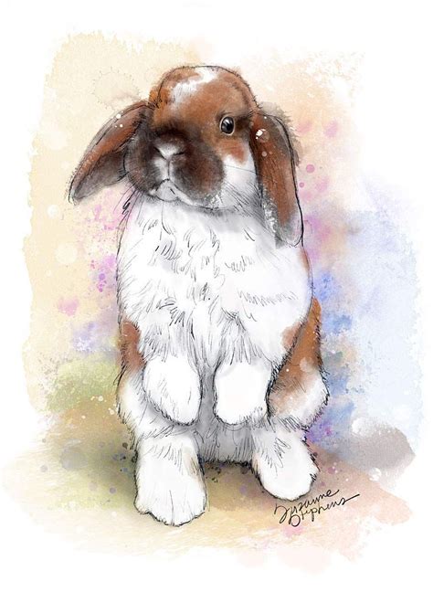 Holland Lop By Suzanne Stephens In 2021 Rabbit Painting Bunny