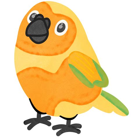 Adorable Sun Conure Parrotcute Petcreative With Illustration In Flat