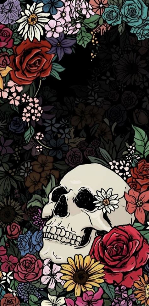 Floral Skull Iphone 6 Wallpapers Top Free Floral Skull Iphone 6