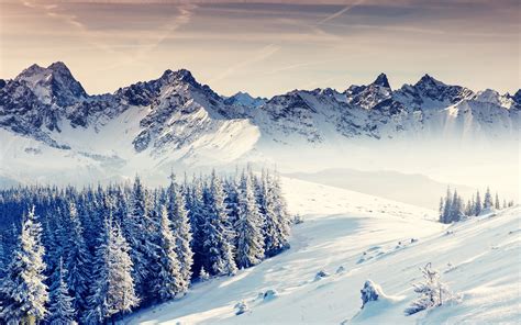 Winter Mountain Wallpapers Smoky Mountain Winter Scenes Wallpaper 42