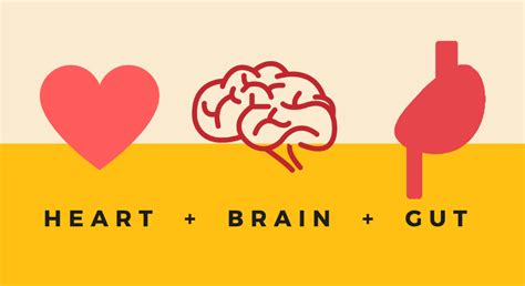 Using Your Heart Brain And Gut Intelligences Collectively To Make Better
