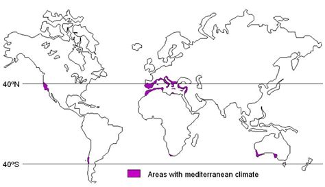 mediterranean climate western margin climate pmf ias