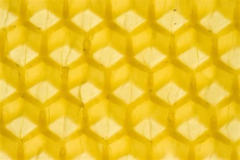 Honeycomb Macro Free Stock Photo Public Domain Pictures