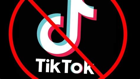 Bringing signing popular tik tok songs back! Petition · I want to shut down TikTok. · Change.org