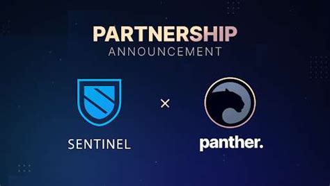 Panther Protocol Partners With The Decentralized Vpn Ecosystem Sentinel Crypto News Flash