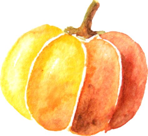 Pumpkin Watercolor Painting Watercolor Pumpkin Png Download 700643