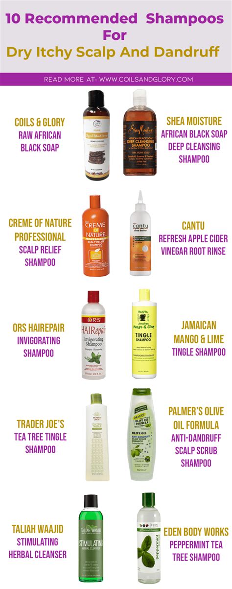 10 Best Anti Itch Shampoos For Dandruff And Itchy Scalp Dry Itchy