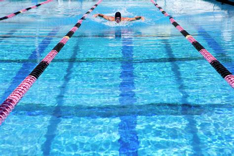 Young Man Swimming In Lane In Swimming Pool Stock Photo Dissolve