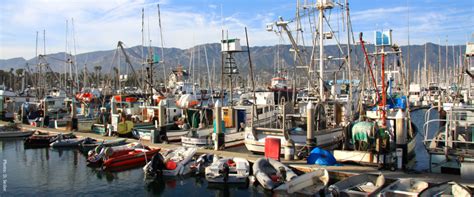 California Sea Grant Awards 26 Million To 10 Research Projects