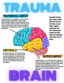 How Trauma Affects The Brain Poster By Melody Gaston Tpt