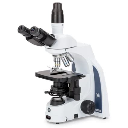Mengenal Fungsi Lensa Okuler Dan Objektif Pada Mikroskop Laboratory
