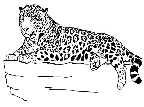 Zoo Animal Coloring Pages Also Available Are Farm Animals