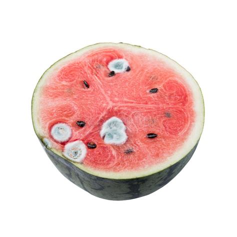 Watermelon Go Mouldy Stock Photo Image Of Green Damaged 71868602
