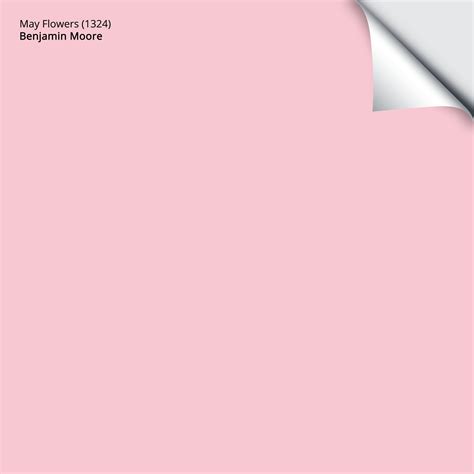 Benjamin Moore May Flowers 1324 In 2022 Color Palette Pink Paint