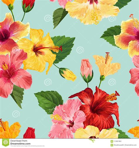 Details More Than 80 Hibiscus Wallpaper Vn