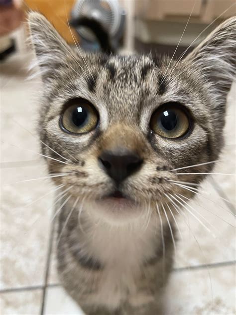 Name for this bundle of joy? : r/cute