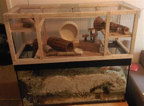 Imgur The Most Awesome Images On The Internet Gerbil Hamster Habitat Hamster Cages
