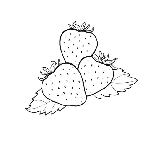 Free strawberries coloring page printable. Strawberry coloring pages to download and print for free