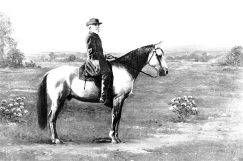 Horseback Portrait Of General Robert E Lee Photograph Wisconsin