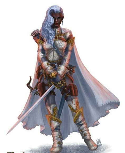 Female Paladin Pathfinder Pfrpg Dnd Dandd D20 Fantasy Character