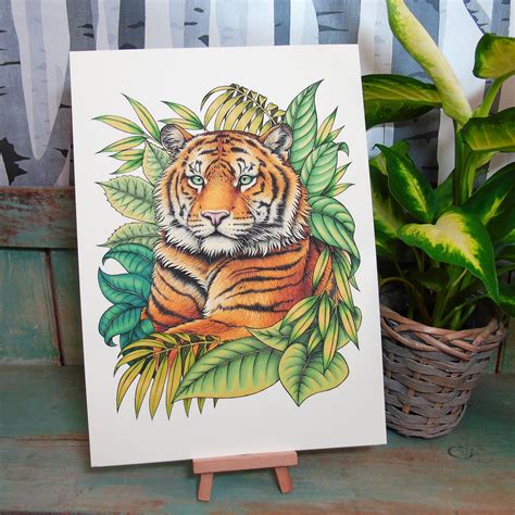 Sumatran Tiger Illustration A Print Lyndsey Green Illustration