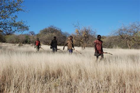 Modern Hunter Gatherers Show Value Of Exercise The Archaeology News