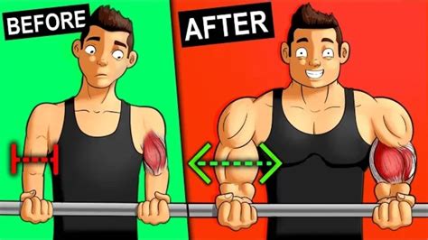 Top 4 Exercises To Get Bigger Biceps How To Grow Size Of Biceps