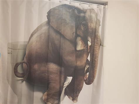 31 Funny Shower Curtains That Are So Good They Should Be In A Museum